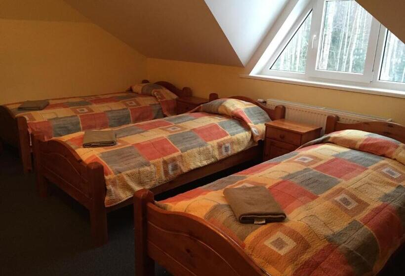 اتاق خانوادگی با سرویس بهداشتی مشترک, Strenči Guesthouse