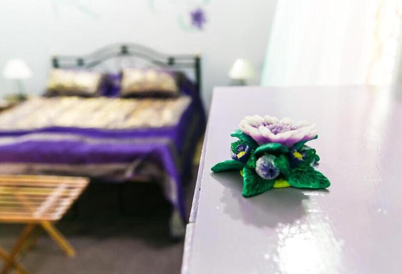 수피리어 룸, Aparthotel Orange Village