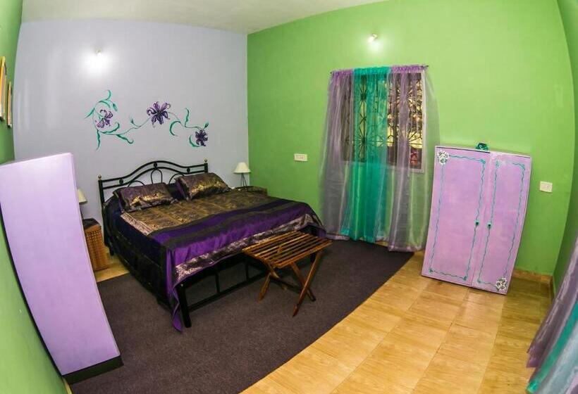 수피리어 룸, Aparthotel Orange Village