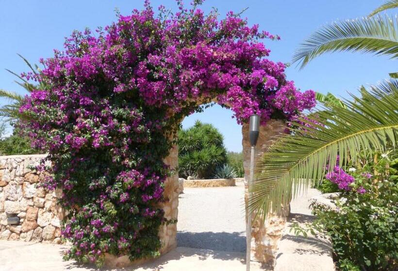 اتاق عادی, Hacienda D Armando