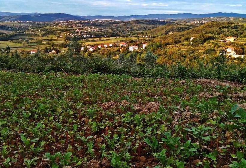 اتاق استاندارد, Farm Stay Domačija Butul