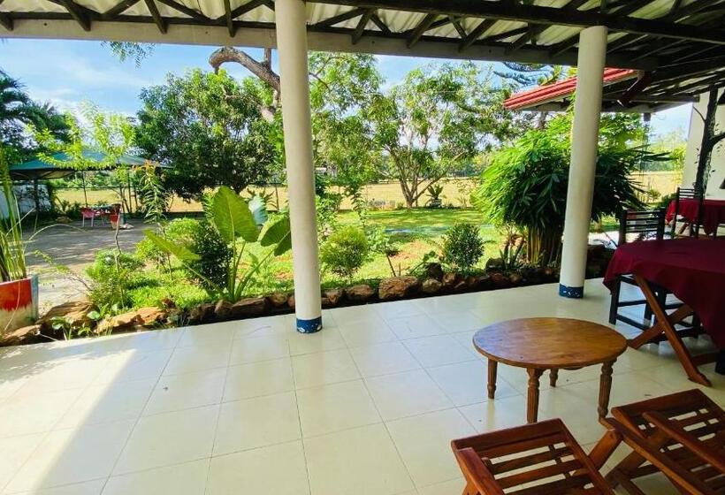 Трежместный Номер Economy, Owin Rose Yala Safari