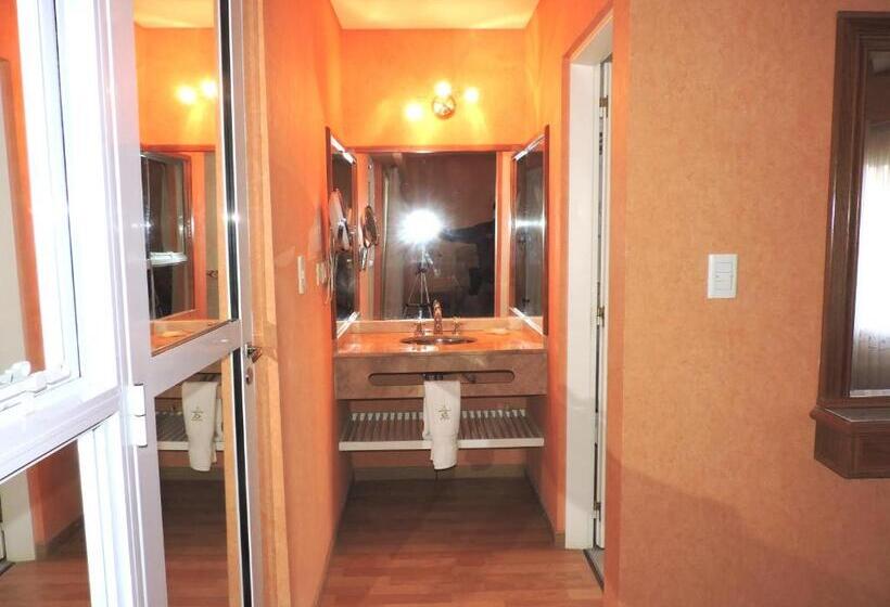 Апартаменты Дюплекс 1 Спальня, Los Aromos Apart Spa