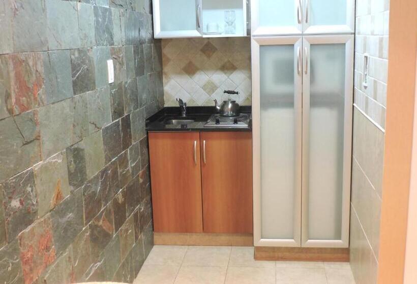 Люкс, Los Aromos Apart Spa