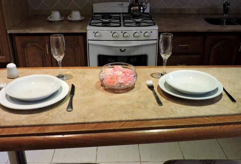 Апартаменты 1 Спальня, Los Aromos Apart Spa