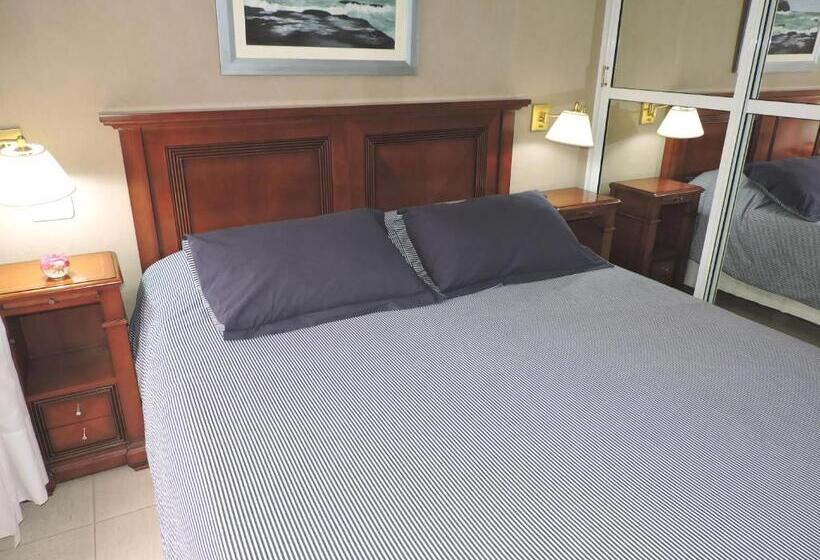 Апартаменты 1 Спальня, Los Aromos Apart Spa