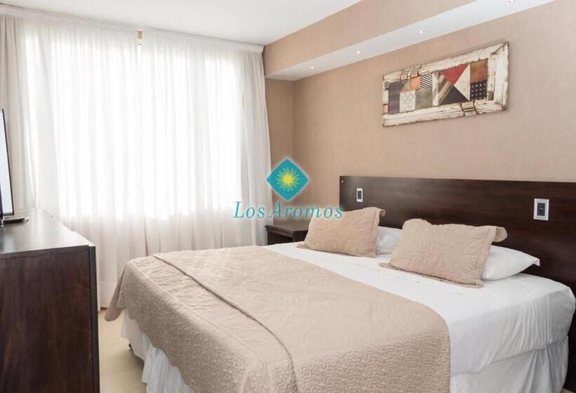 Апартаменты Deluxe 1 Спальня, Los Aromos Apart Spa