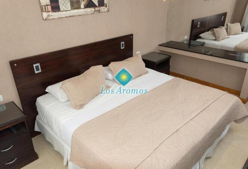 带1个卧室的豪华公寓, Los Aromos Apart Spa