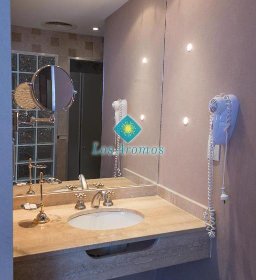 شقة ديلوكس غرفة واحدة, Los Aromos Apart Spa