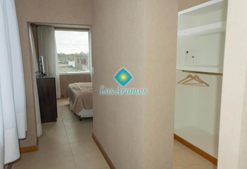 Апартаменты Deluxe 1 Спальня, Los Aromos Apart Spa