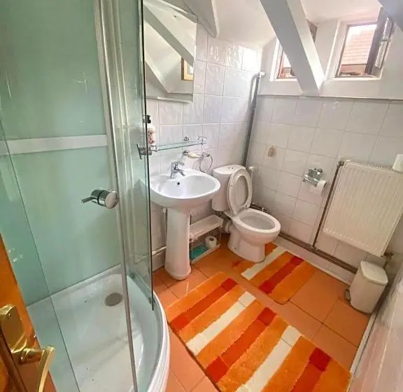 اتاق استاندارد, Casa De Vacanta Catrinel