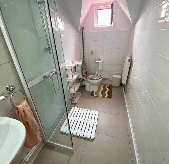 اتاق استاندارد با سرویس بهداشتی مشترک, Casa De Vacanta Catrinel