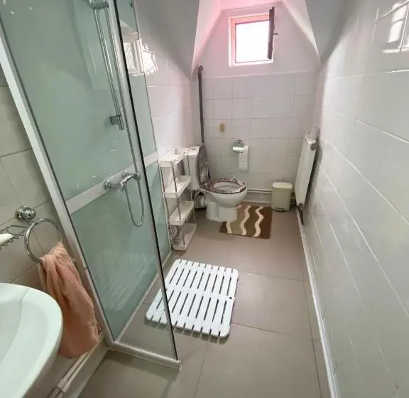 اتاق استاندارد با سرویس بهداشتی مشترک, Casa De Vacanta Catrinel