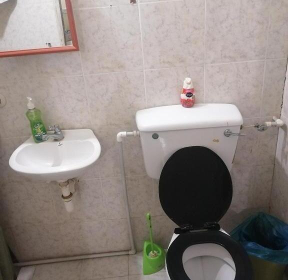 استودیوی استاندارد, Tonys Guest House