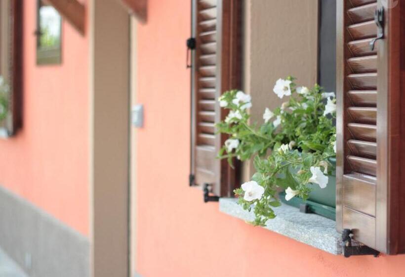 스탠다드 룸, Top Residence Arioli