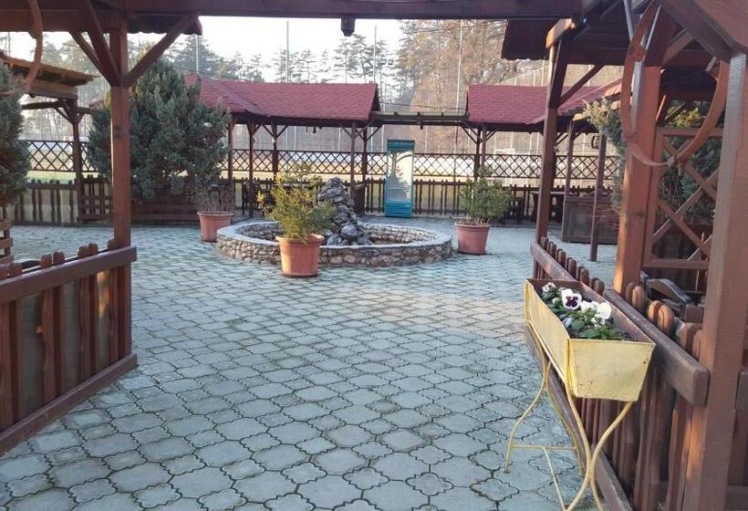 Апартаменты 1 Спальня, Pensiunea Valea Ursului