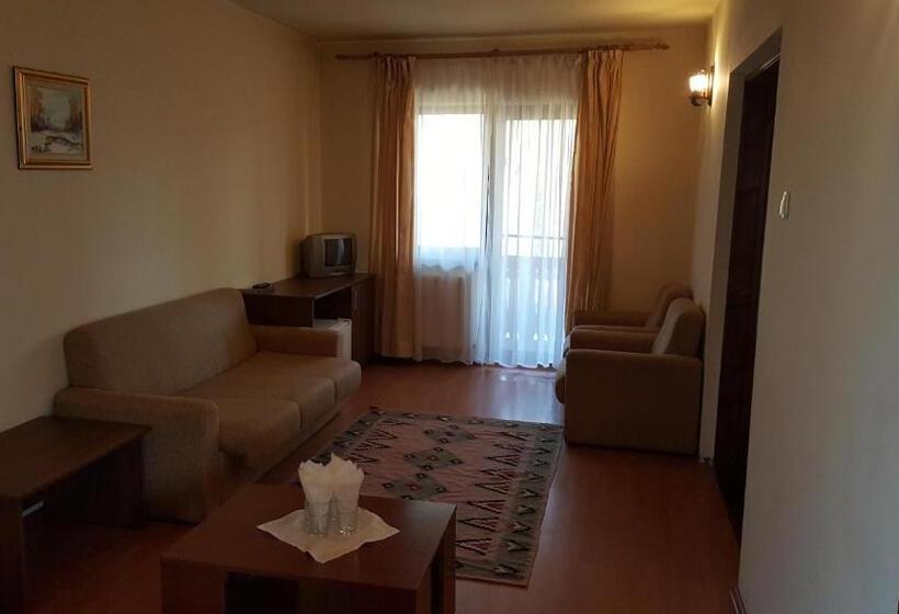 Апартаменты 1 Спальня, Pensiunea Valea Ursului