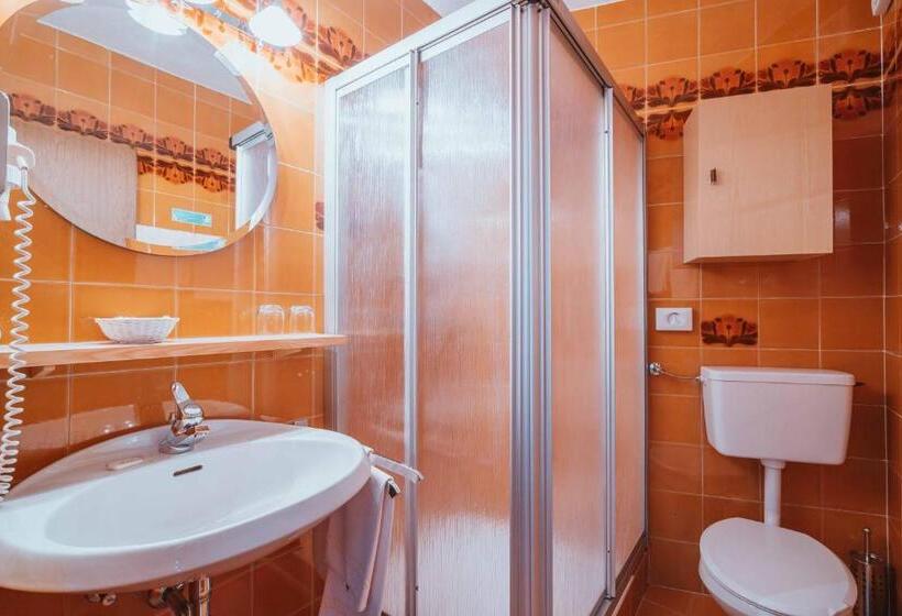 Номер Economy, Wanderhotel Teiserhof
