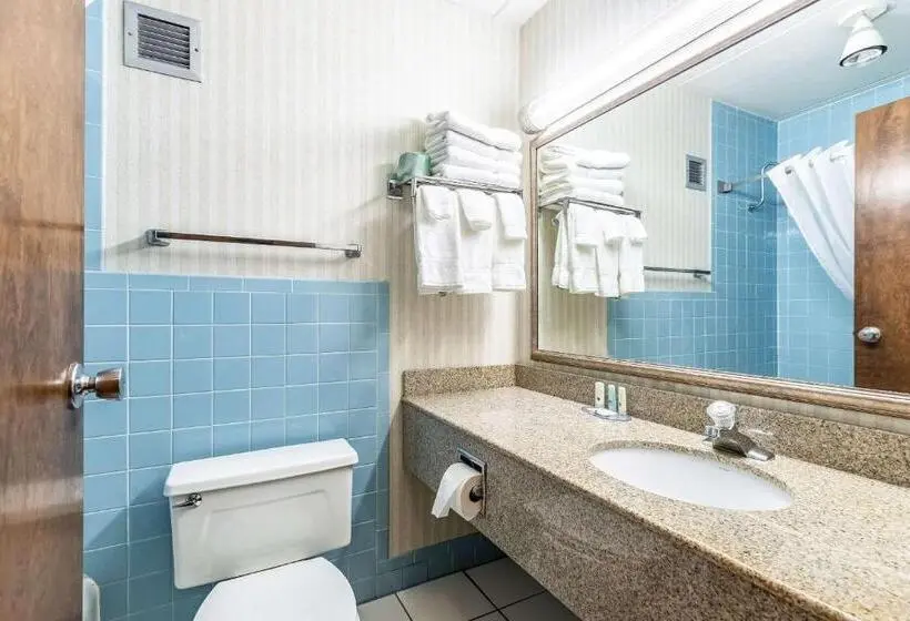 Standard-huone 2 Parivuodetta, Quality Inn & Suites