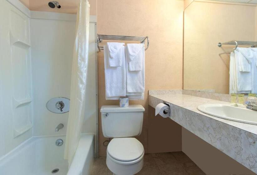 Четырехместный Номер Стандарт, Half Moon Motel & Cottages