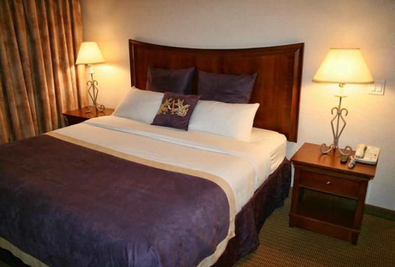 מיטת קינג בסוויטה, Best Western Lubbock West Inn & Suites