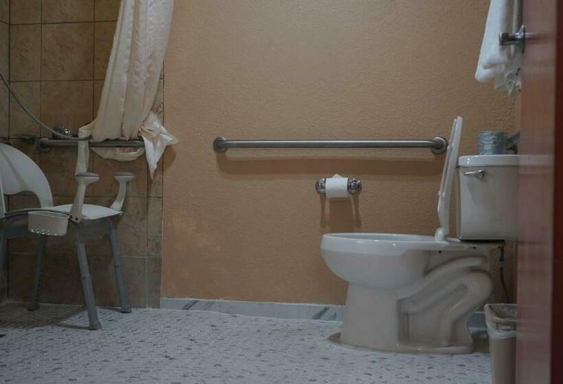 סוויטה מותאמת לאדם עם מוגבלויות, Best Western Lubbock West Inn & Suites