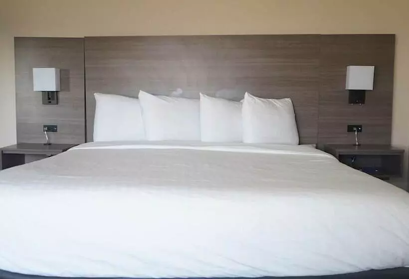 身障者適用スイートルーム, Best Western Lubbock West Inn & Suites
