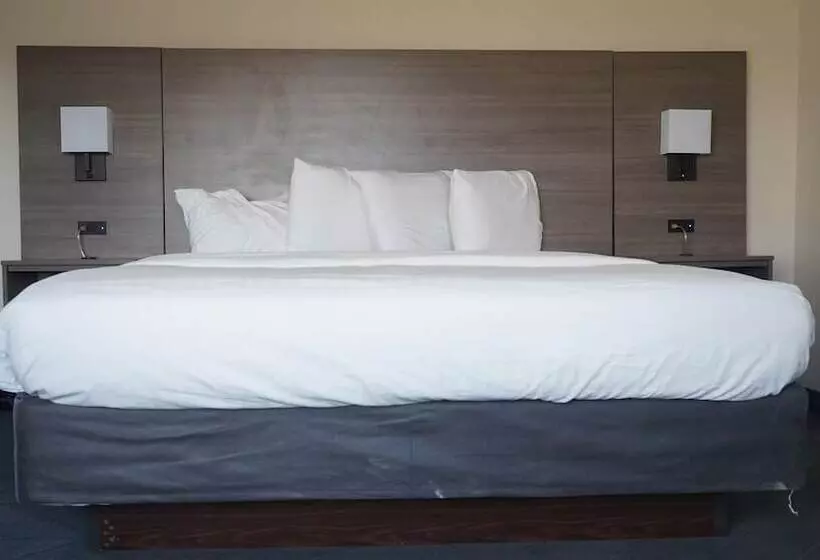 身障者適用スイートルーム, Best Western Lubbock West Inn & Suites