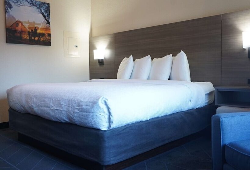 סוויטה מותאמת לאדם עם מוגבלויות, Best Western Lubbock West Inn & Suites