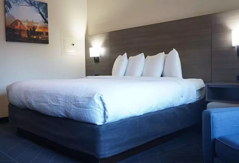 身障者適用スイートルーム, Best Western Lubbock West Inn & Suites