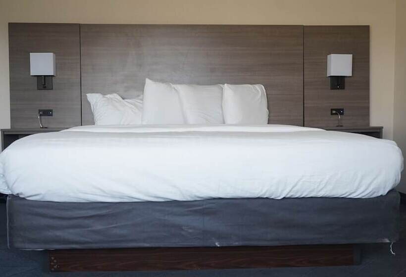 חדר משפחתי, Best Western Lubbock West Inn & Suites