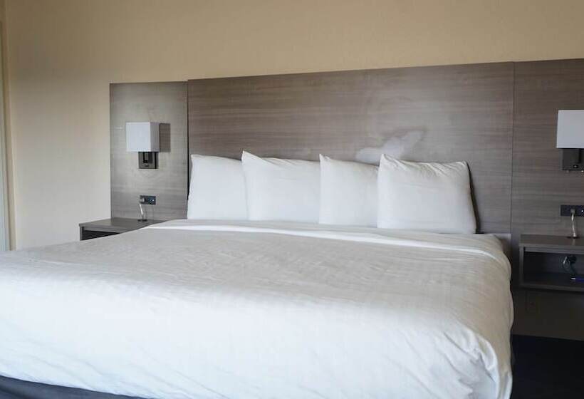 חדר משפחתי, Best Western Lubbock West Inn & Suites