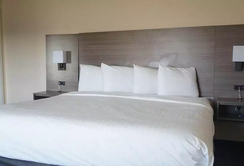 ファミリールーム, Best Western Lubbock West Inn & Suites