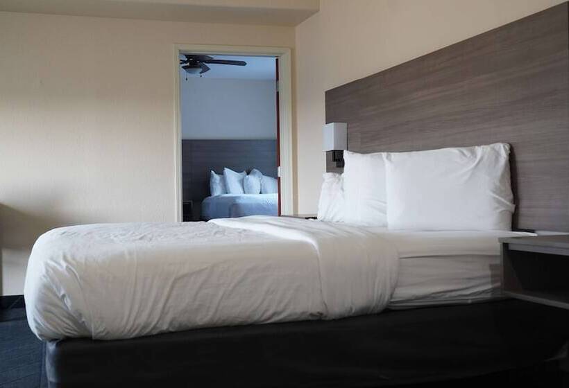 חדר משפחתי, Best Western Lubbock West Inn & Suites