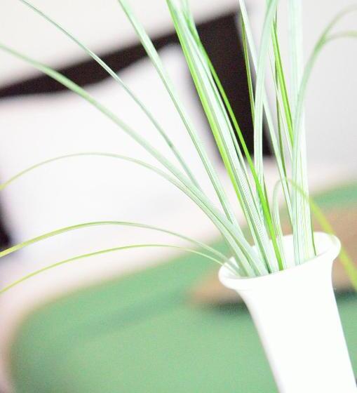 Номер Стандарт Индивидуальный, Belleville