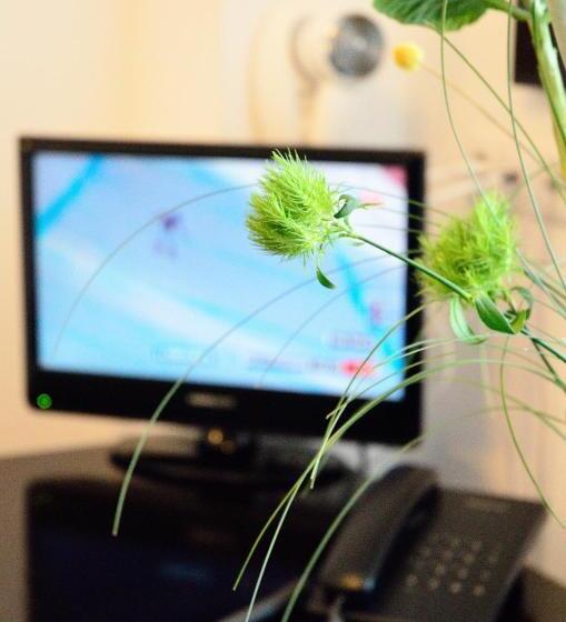 Номер Стандарт Индивидуальный, Belleville