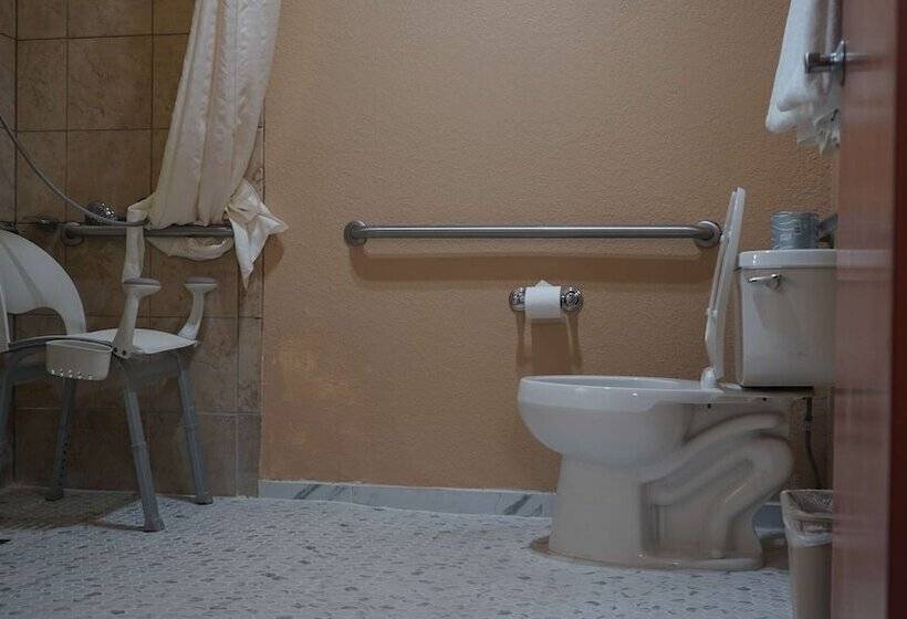 סוויטה מותאמת לאדם עם מוגבלויות, Best Western Lubbock West Inn & Suites