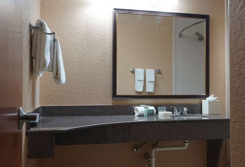 חדר משפחתי, Best Western Lubbock West Inn & Suites