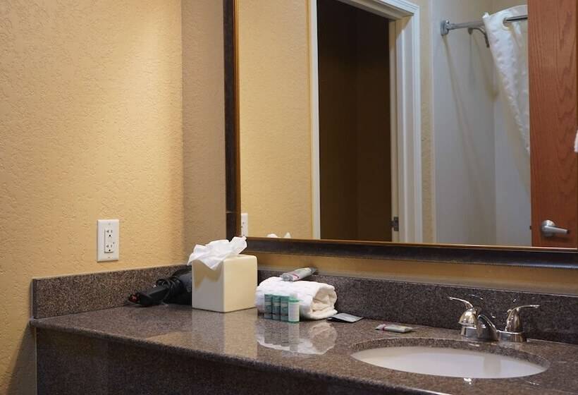 חדר משפחתי, Best Western Lubbock West Inn & Suites
