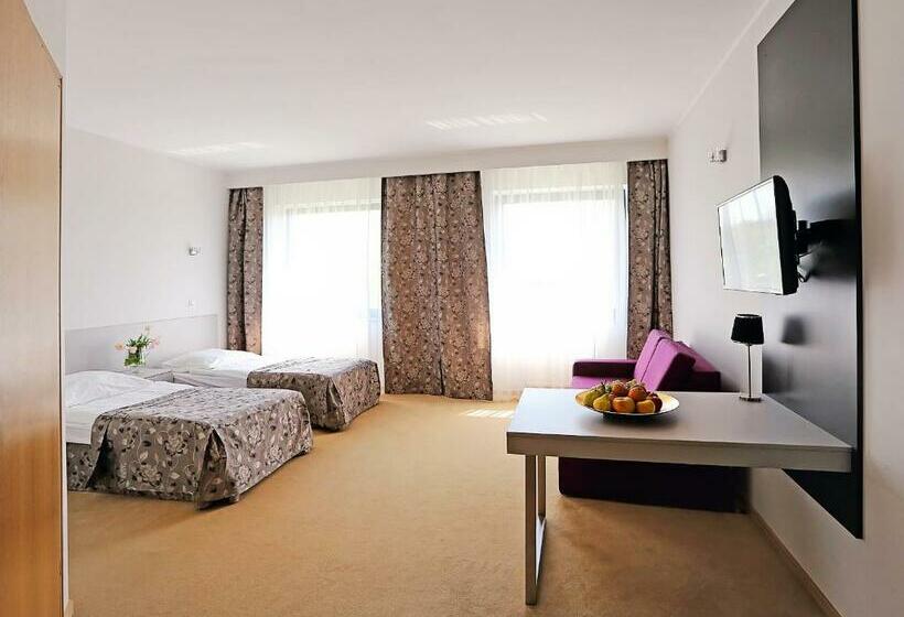 스탠다드 룸, Brzoza