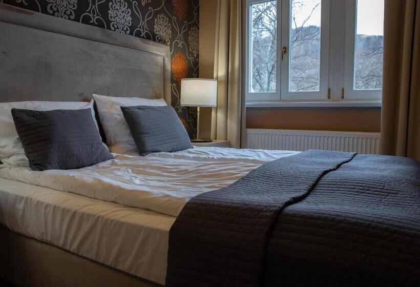 스탠다드 룸, Dębowy Biowellness & Spa Góry Sowie