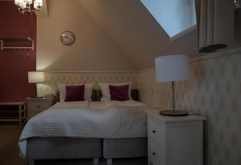 스탠다드 룸, Dębowy Biowellness & Spa Góry Sowie