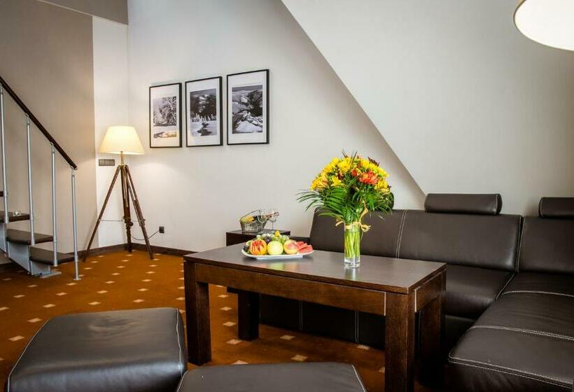 חדר סטודיו סטנדרד, Nowy Dwór Elizy Blisko Sky Bridge