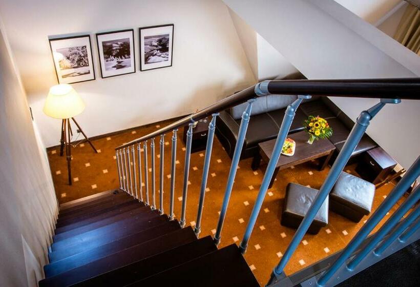 חדר סטודיו סטנדרד, Nowy Dwór Elizy Blisko Sky Bridge