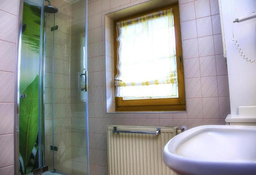 آپارتمان 1 خوابه با بالکن, Gästehaus Götz