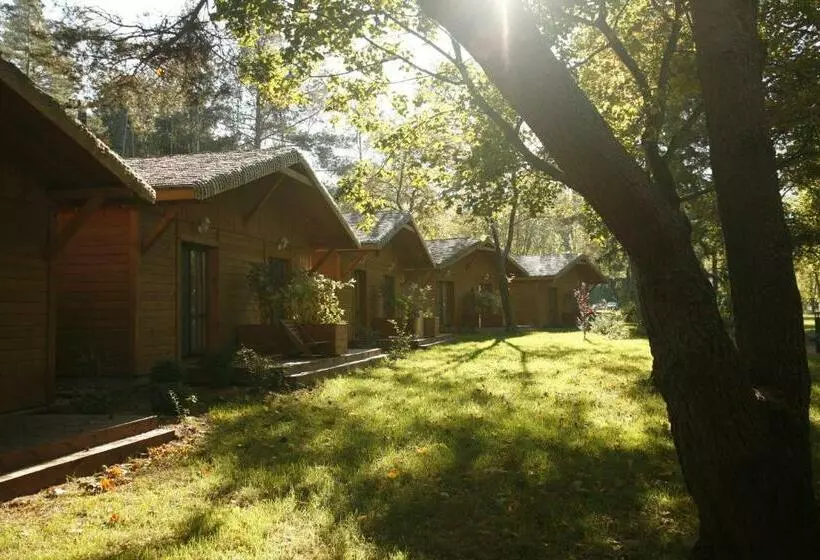 キャビン, Jabłoń Lake Resort