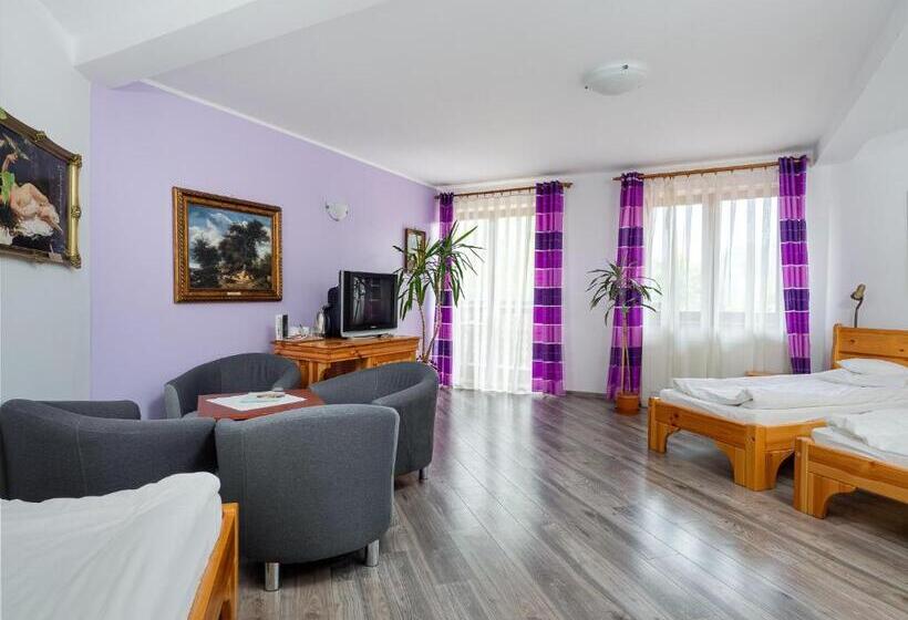 اتاق استاندارد چهار تخته, Jan