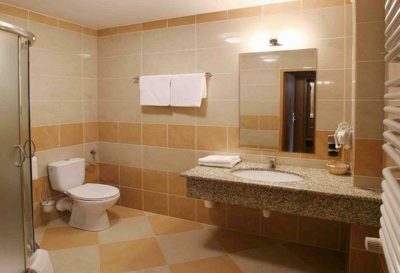 דירת חדר, Maggi