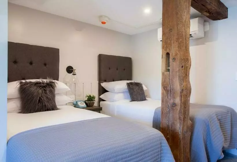 シングルデラックスルーム, Mountain Meadows Lodge