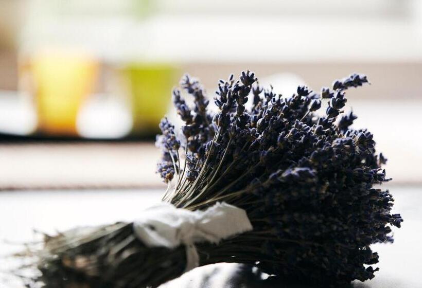 سوییت, Rooms & Restaurant Ostarija